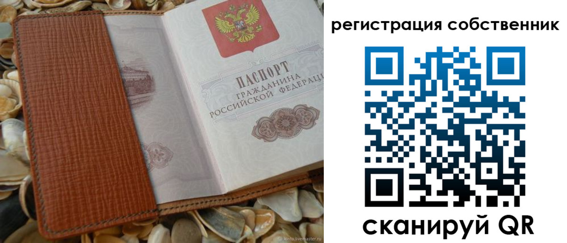временная регистрация для школы в Сельцо